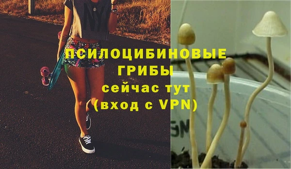 дживик Балабаново