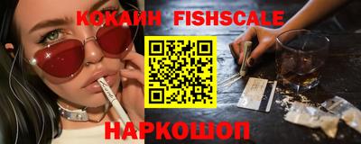 гашик Тверь