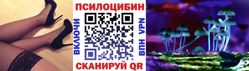 Псилоцибиновые грибы ЛСД  blacksprut ссылки  Полевской 