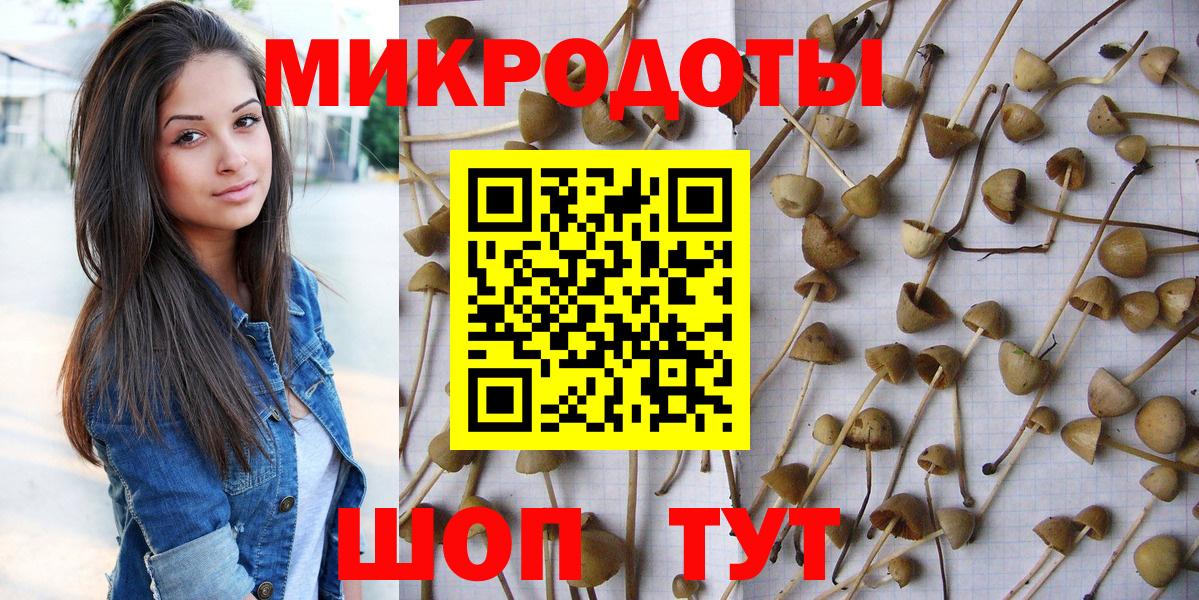 Галлюциногенные грибы Psilocybe  Галлюциногенные грибы Magic Shrooms  Вход с VPN  Полевской 